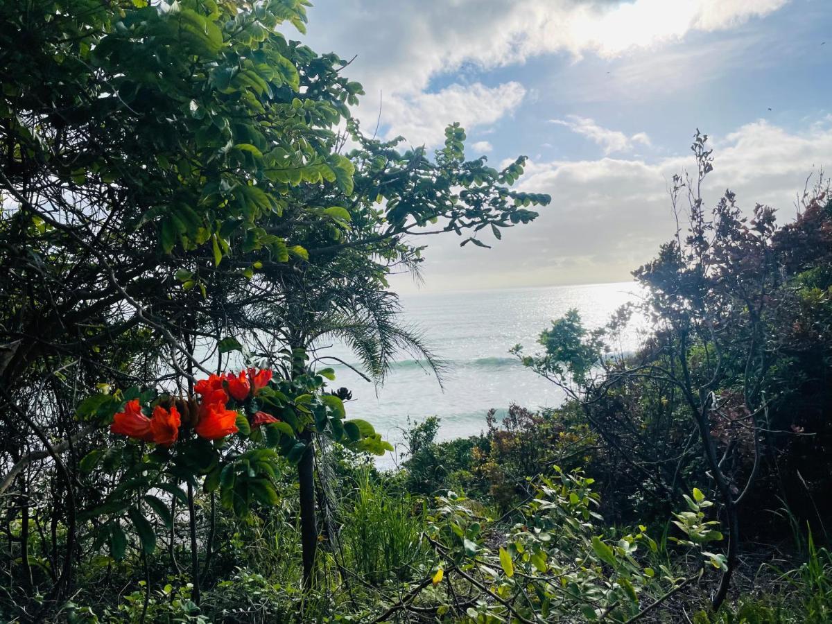 Beachside Lagoon With Garden Patio Coffs Harbour