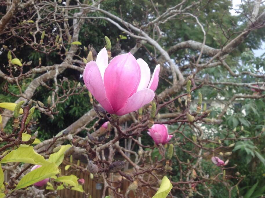 Magnolia Holiday home *